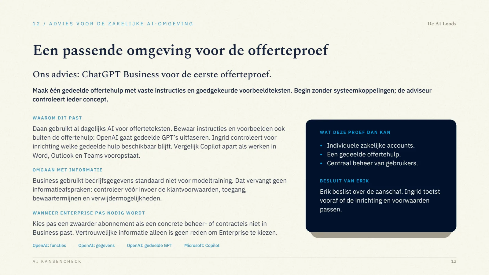Pagina 13, Advies voor de zakelijke AI-omgeving